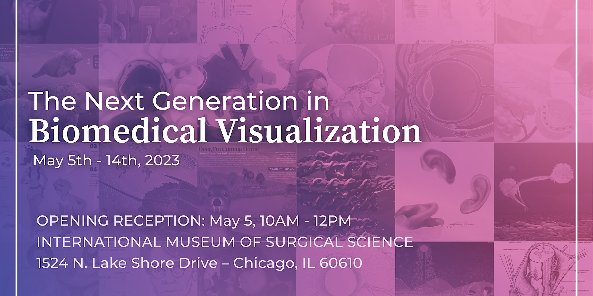 The Next Generation In Biomedical Visualization International Museum
