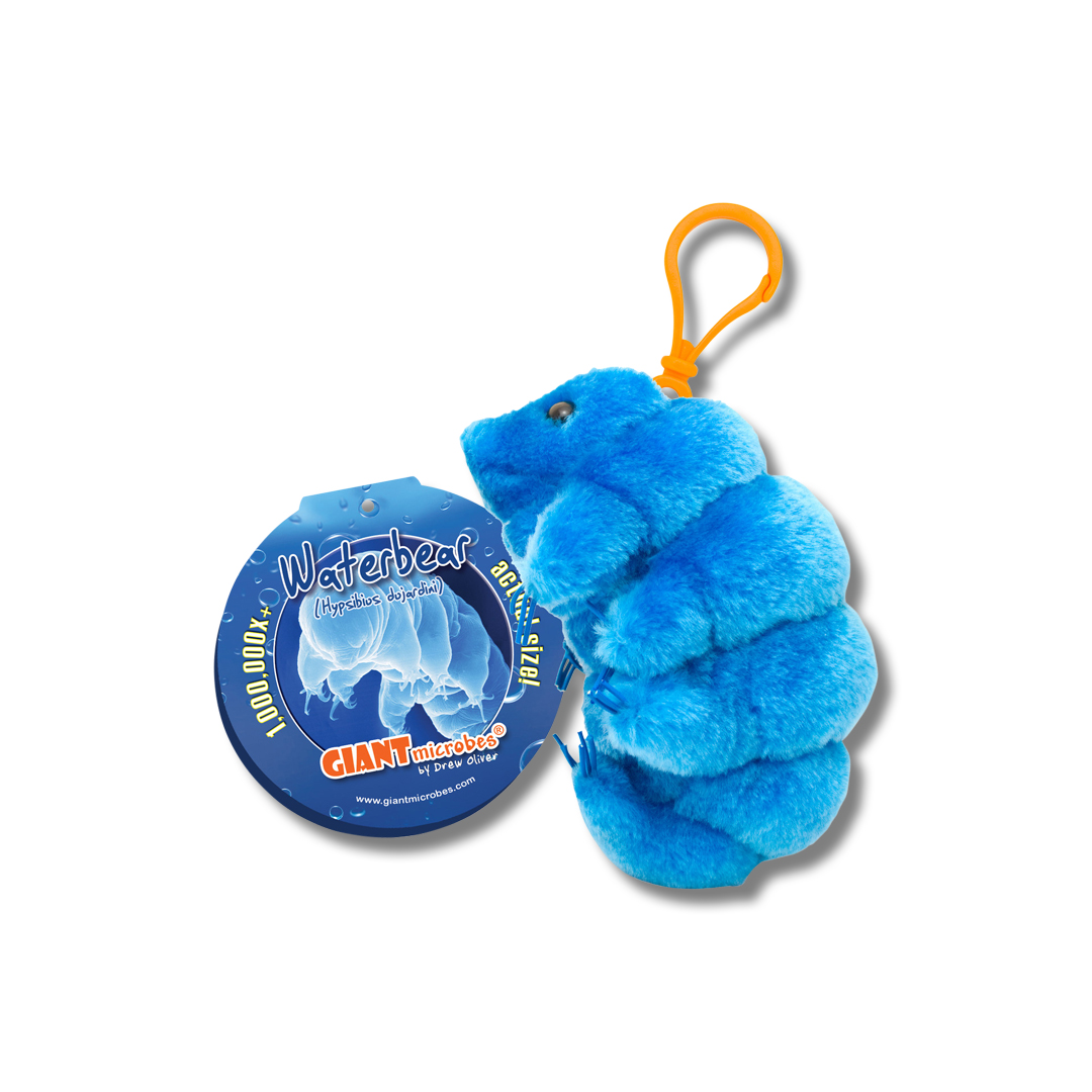 Waterbear Keychain International Museum of Surgical Science